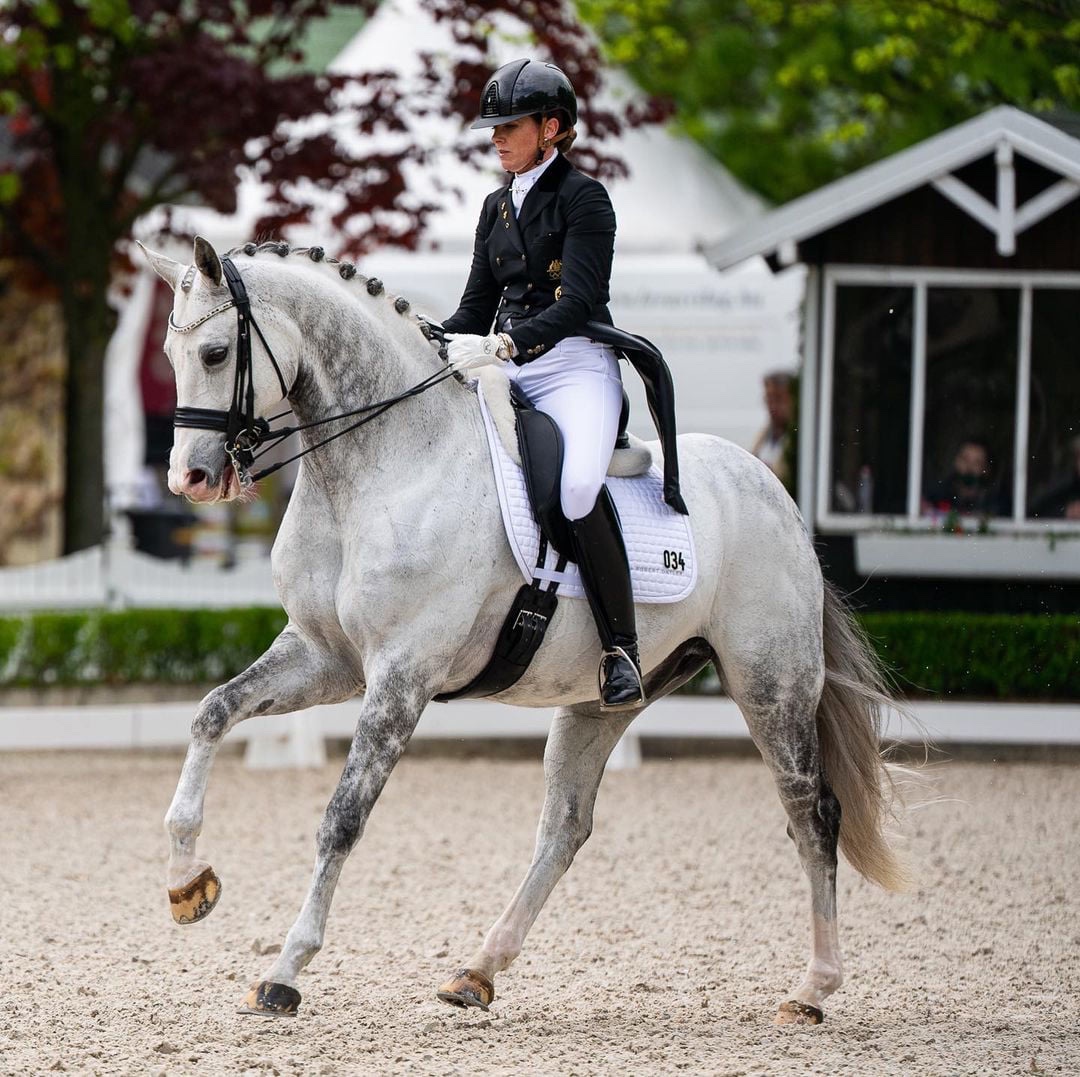 Australian Dressage Riders Shine in the International Arena